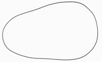 WILMINK GROUP wg1103282 -  Прокладка, крышка головки цилиндра